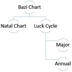 BaziConsult Luckcycle