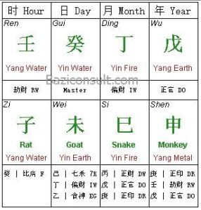 BaziConsult_Ian Fleming