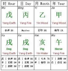 BaziConsult Case Study